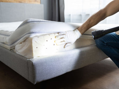 如何檢查床蝨：快速指南