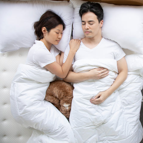 香港枕頭推薦 / 推介