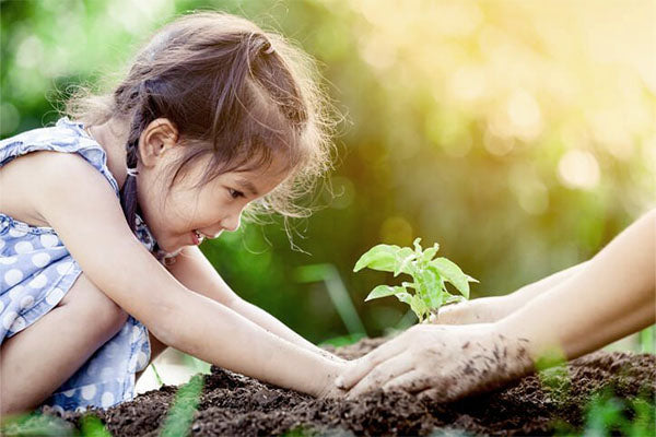 Little girl in a tree planting activity