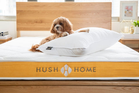 香港入伙禮物 - 枕頭