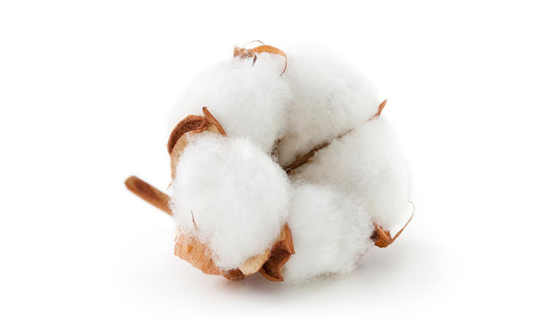 高品質床上用品