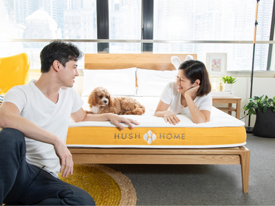 【2026床架推介】香港床架購買指南：教你如何在香港選購到理想床架