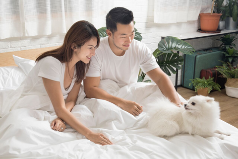 用豪華實惠的床墊睡個好覺 | Hush Home